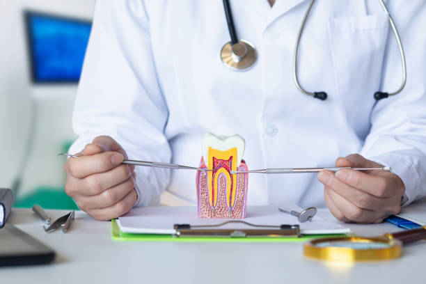 Best Walk-In Emergency Dental Services in Peru, IL